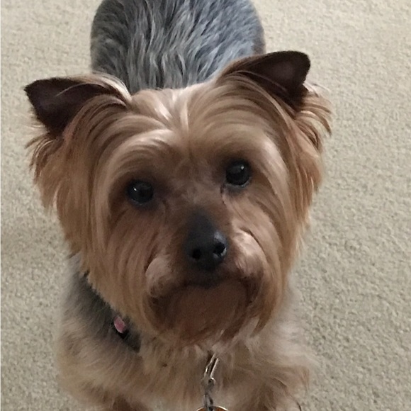 OFFERS WELCOME! π - Picture 4 of 4